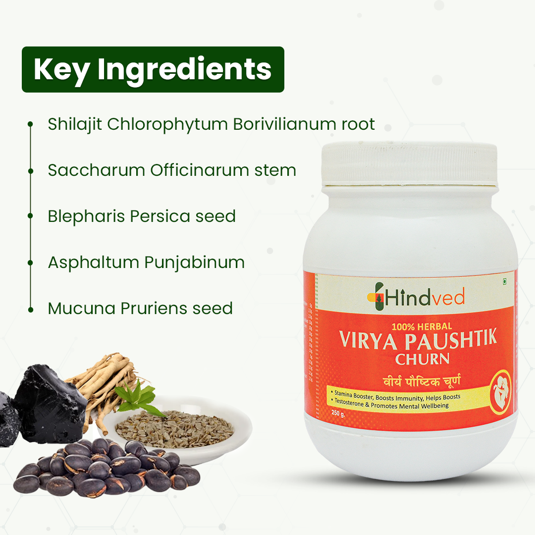 VIRYA PAUSHTIK CHURN