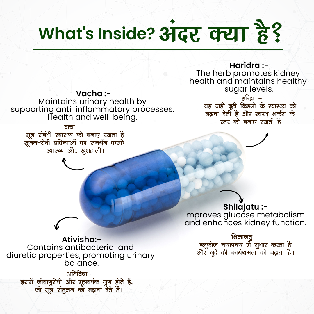 Kidney Care Capsules