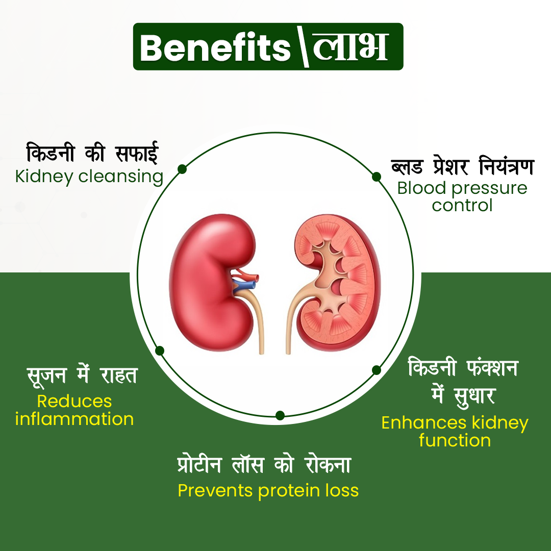Kidney Care Capsules