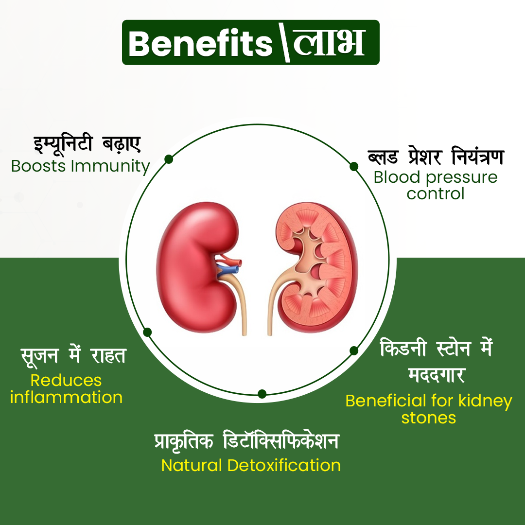 Kidney Care Syrup